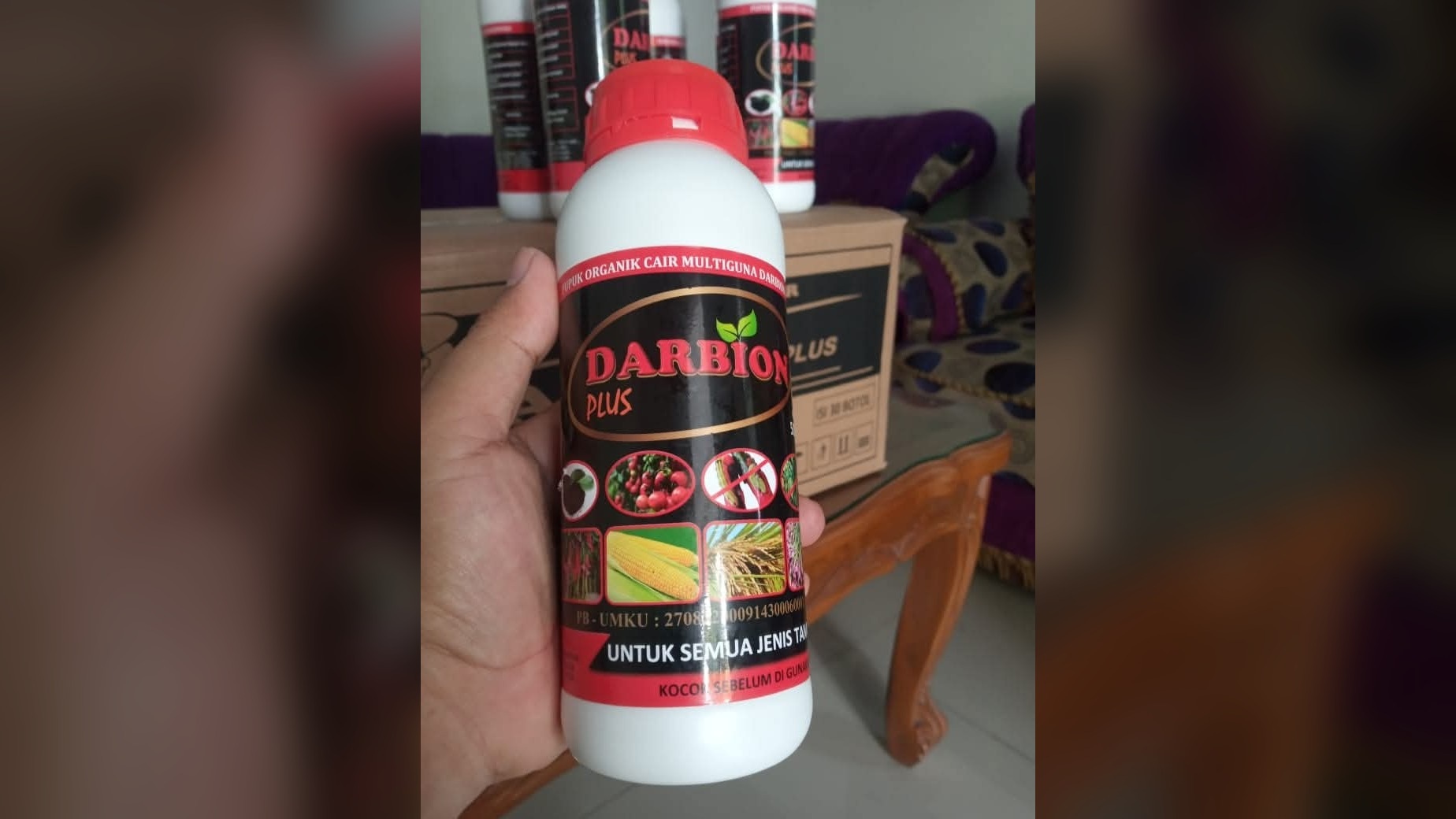 Paket Pemula